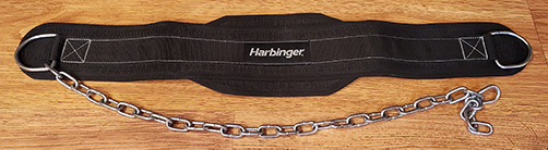 Dip Belt